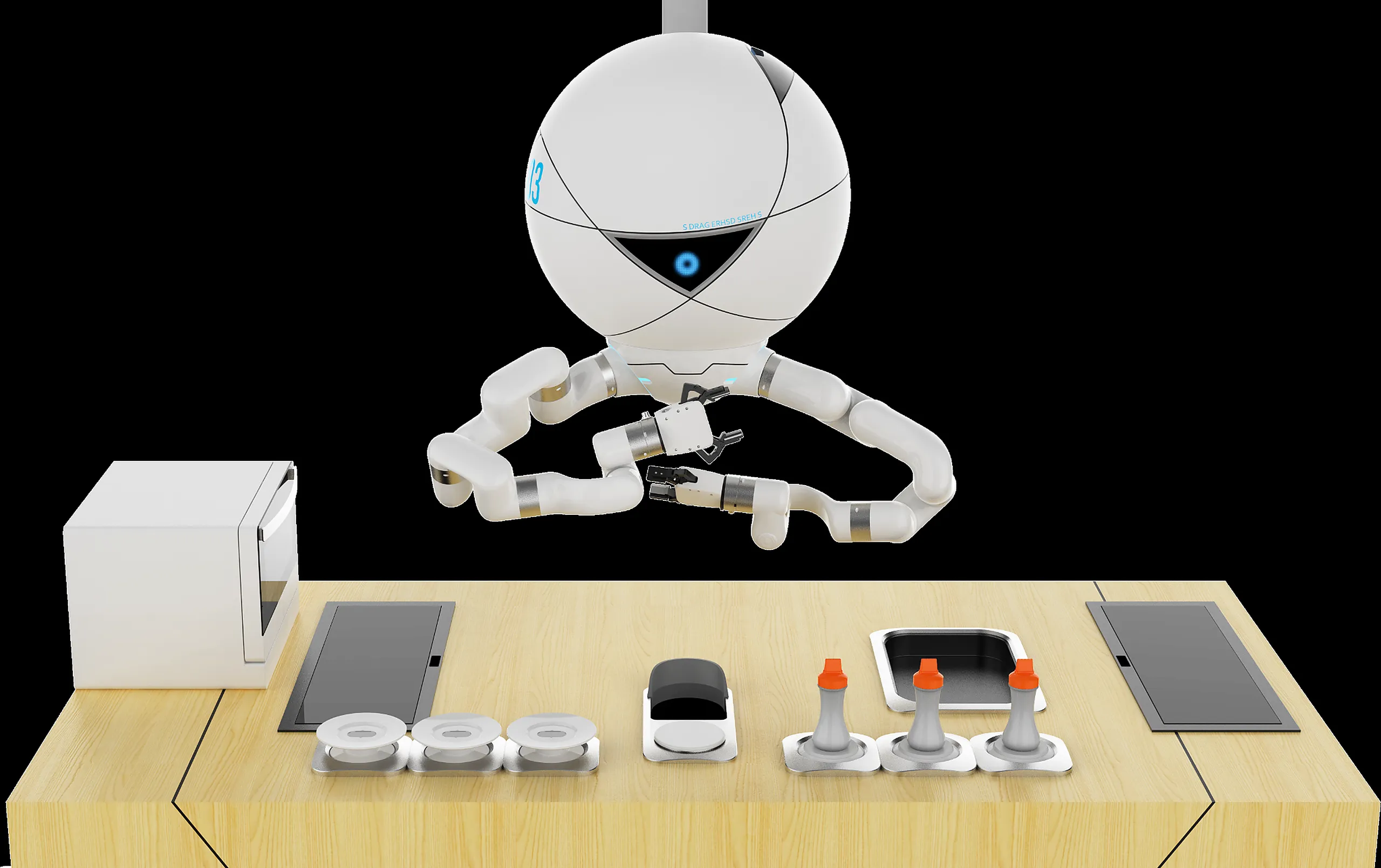 LUOBOT service operation detail